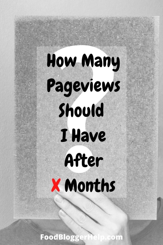 How Many Pageviews should I have by now