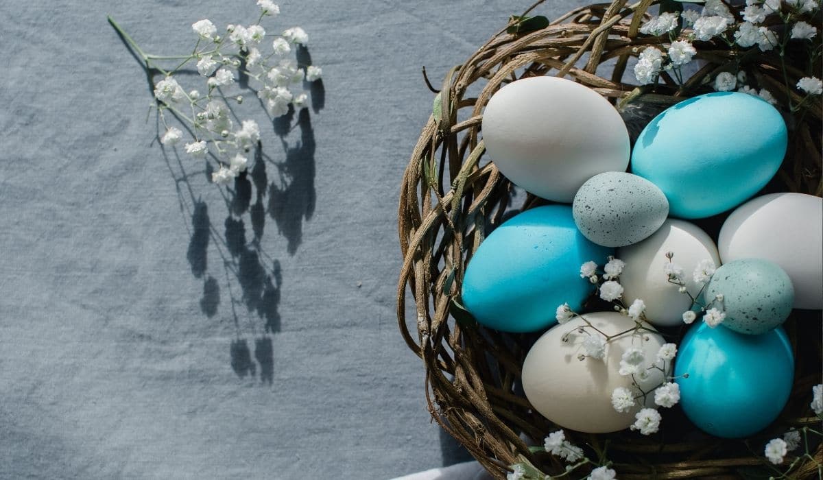 blue and white eggs in a woven basket with little flowers